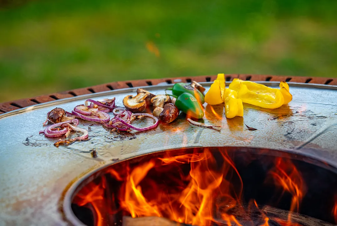 ZELUX-Grill - Image 4
